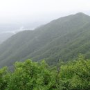 과일나라 앞 이미지