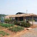 옥길농장 이미지