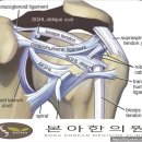 대방한의원 이미지