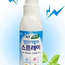 크린세탁소 이미지