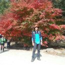 풍양중학교 이미지