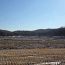 여주-0110 이미지