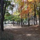 부소산성 남문지 이미지