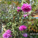 중앙하이츠@경로당 이미지