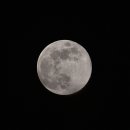 moon 이미지