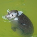 런2PC방 이미지