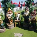 모모몽 애견까페 이미지