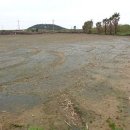 무릉중학교 이미지