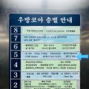 분당 화이트태닝 추천 몰디브태닝에서 맑고 깨끗하게