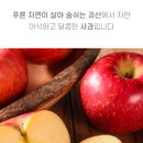 미림농원 이미지