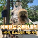카레아즈 - 성남시 분당구 | 연휴 에버랜드 오픈런 대기, 주차, 로스트밸리 및 사파리 버스 명당 등 꿀팁 대방출 (ft.장미축제)