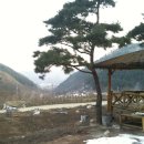 광덕4리 이미지