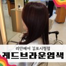 케이(K) - 헤어샵 | 김포사우동미용실 리안헤어 K실장 레이어드컷 레드브라운 염색 후기