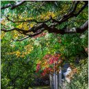 호암미술관 이미지