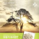 노블코스메틱