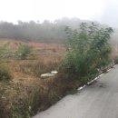 송성1리마을회관 이미지