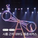 동춘서커스 공연장 | 시흥 근처 부모님과 실내 가볼만한 곳, 대부도 동춘서커스 후기(자리·예매 팁)
