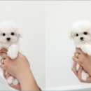 천안행복건강생활