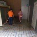 화일초등학교병설유치원 | 유치원 청소 이래서 이원환경이구나 하십니다.