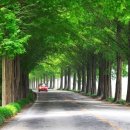 마이산축산 이미지