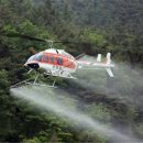 밤나무축산 이미지