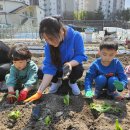 4월 열린 어린이집 - 텃밭활동 ' 쌈채소 모종 심기' 이미지