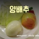 한국다이어트코칭협회