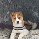 다온농수산 이미지