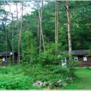 통나무숲속마을 이미지