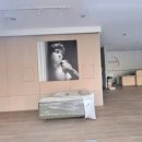 용인랜드 부동산중개 네이버블로그