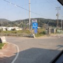 양촌리.동양촌 이미지