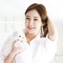 펫타운 - 김해시 구지로 102 | 펫타운