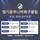 염기훈주니어축구클럽U15 선수모집 이미지