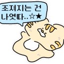 여부초밥인천도화점 이미지
