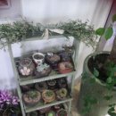 영창한의원 이미지