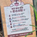 피읖Cafe피읖카페 티스토리