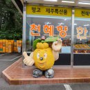 농수산특산품판매