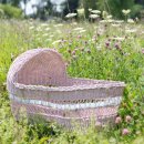 자연-탄생 이미지