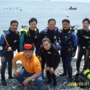 씨킹스쿠바 Daum카페