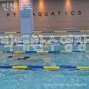 서구-01-101 | 송도 박태환수영장 한달 강습 후기 호주식 수영 초급반
