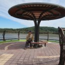 물버들마을 이미지