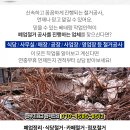 연세푸르른소아청소년과의원 이미지