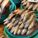 강진공업사 이미지