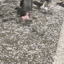 멍글몽글 이미지