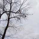 평내모터스 이미지