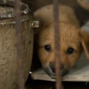 태미농장 이미지