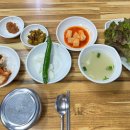 닭이랑 추어랑