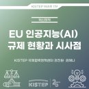 EU 인공지능(AI) 규제 현황과 시사점 이미지