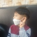 뽀끌레미용실 네이버블로그