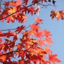 춘하추동 이미지